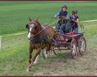 2POSIEUX 0264